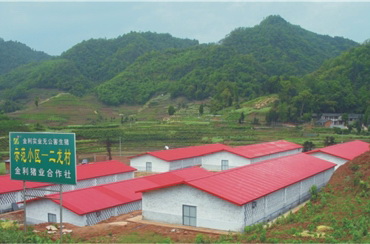 養殖公司實(shí)景